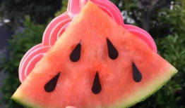 藏区网红吃瓜,揭秘网红圈里的“瓜田”趣事